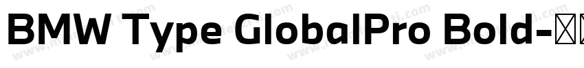 BMW Type GlobalPro Bold字体转换